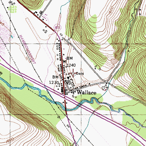 Topographic Map of Wallace Cemetery, NY