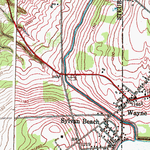 Topographic Map of McDowell Cemetery, NY