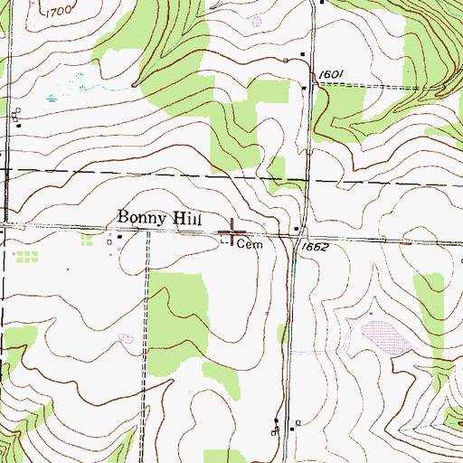 Topographic Map of Bonny Hill Cemetery, NY