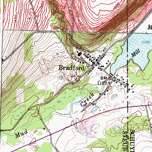 Topographic Map of Bradford Cemetery, NY