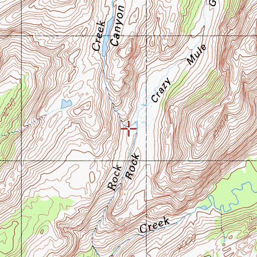 Topographic Map of Crazy Mule Gulch, CA