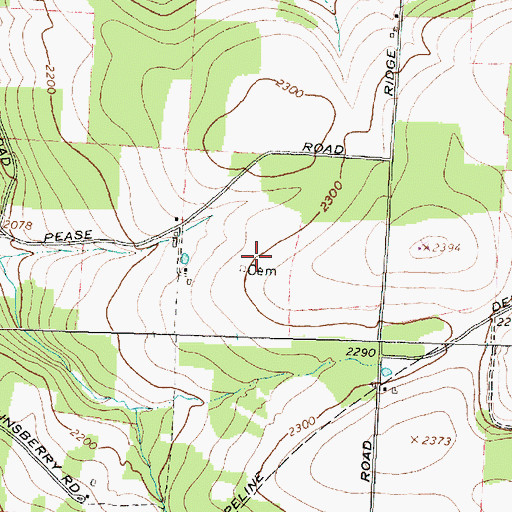 Topographic Map of Atkins Cemetery, NY