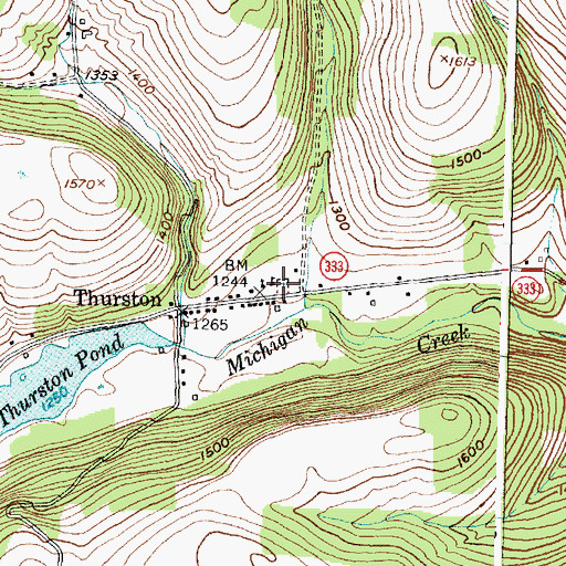 Topographic Map of Thurston Cemetery, NY