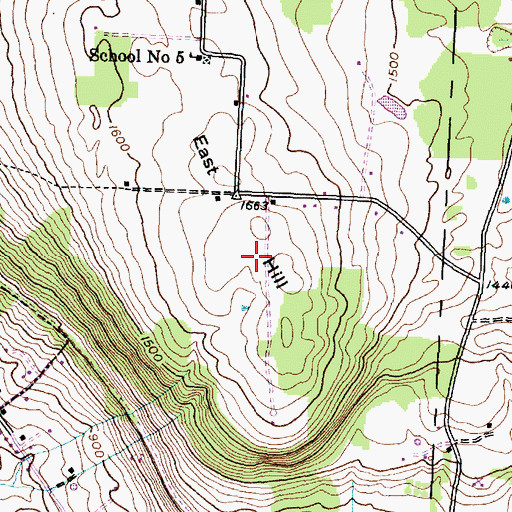 Topographic Map of Alexanders Tree Farm, NY