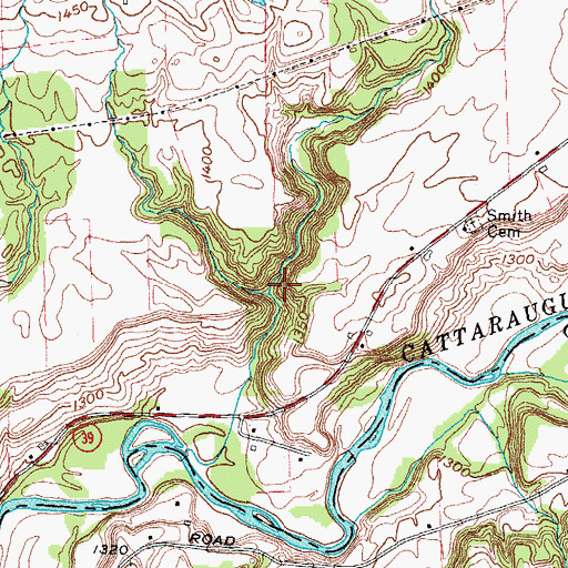 Topographic Map of Bray Farms, NY