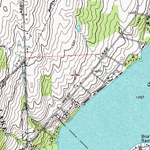 Topographic Map of Silver Meadows Farm, NY