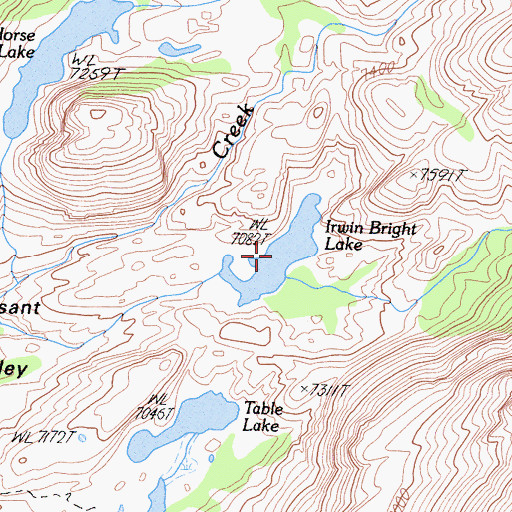 Topographic Map of Irwin Bright Lake, CA