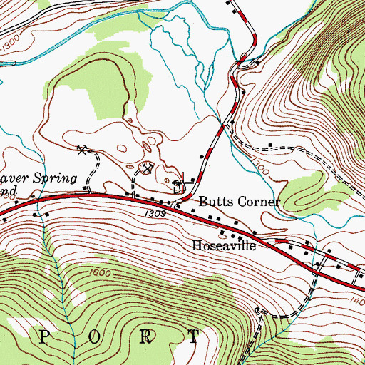 Topographic Map of Butts Corners Cemetery, NY