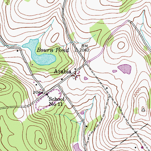 Topographic Map of Arabia Cemetery, NY