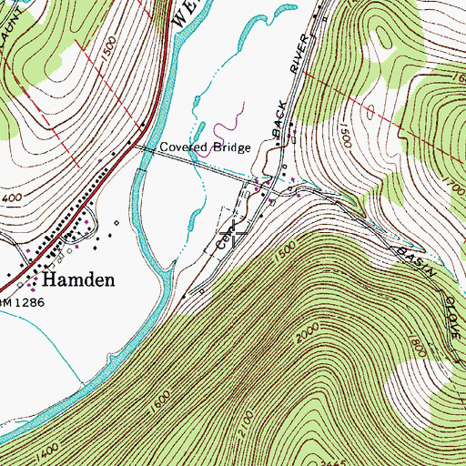 Topographic Map of Hamden Cemetery, NY