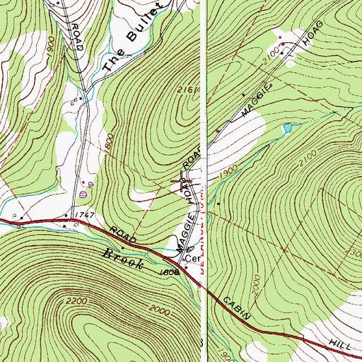 Topographic Map of Thompson Family Cemetery, NY