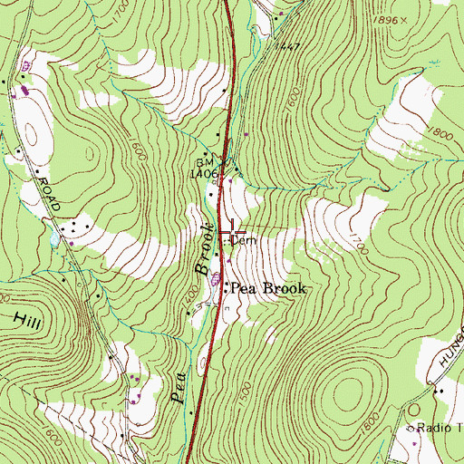 Topographic Map of Pea Brook Cemetery, NY