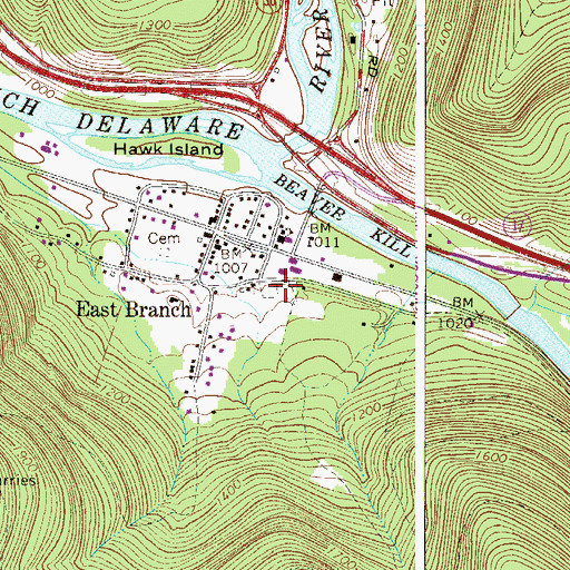 Topographic Map of East Branch Cemetery, NY