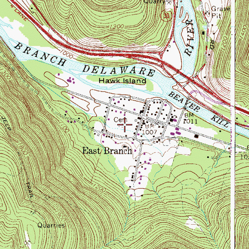 Topographic Map of Old East Branch Cemetery, NY