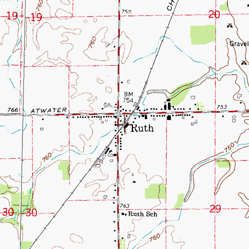 Topographic Map of Ruth Station, MI