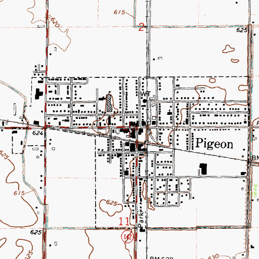 Topographic Map of Pigeon Clinic, MI
