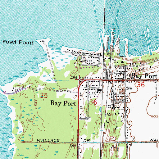 Topographic Map of Bay Port Police Department, MI