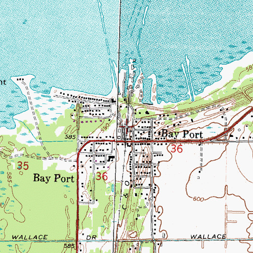 Topographic Map of Bay Port Station (historical), MI