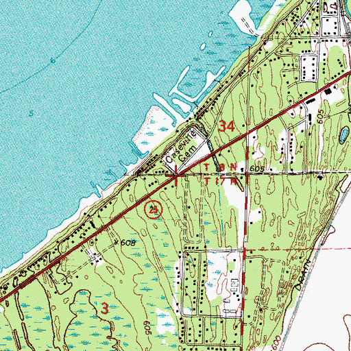 Topographic Map of Saint Roch Roman Catholic Cemetery, MI
