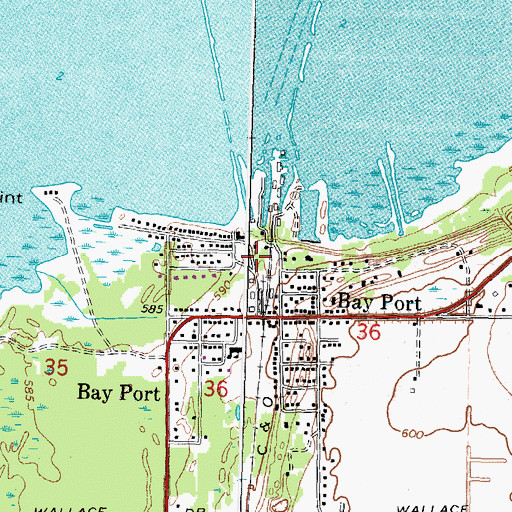Topographic Map of Bay Port Fishing District Historical Marker, MI