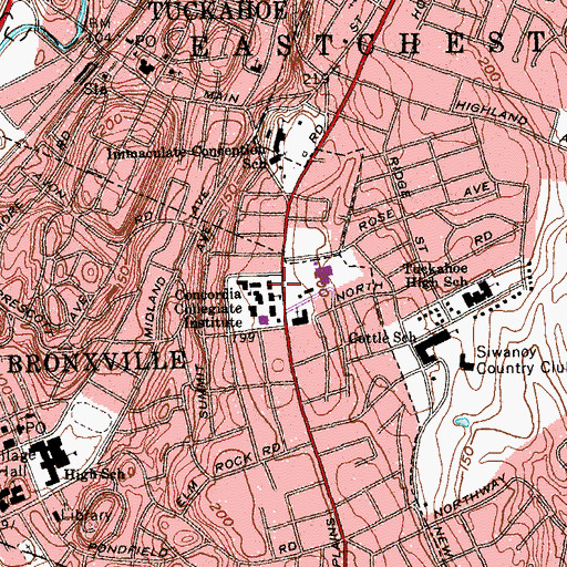 Topographic Map of Cronins Hill, NY