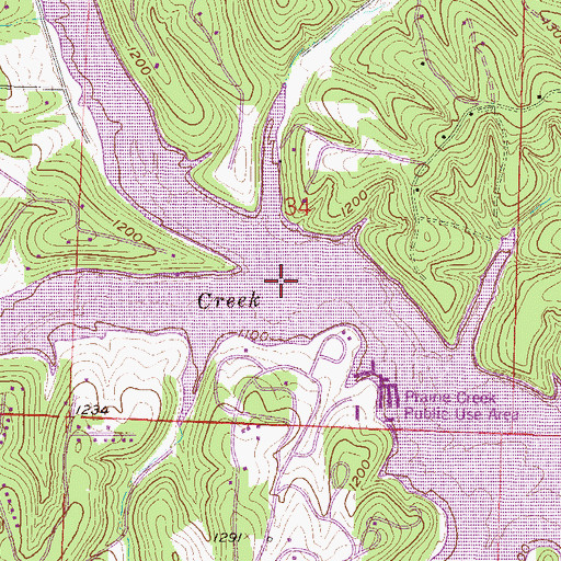 Topographic Map of Ricewood Cove, AR