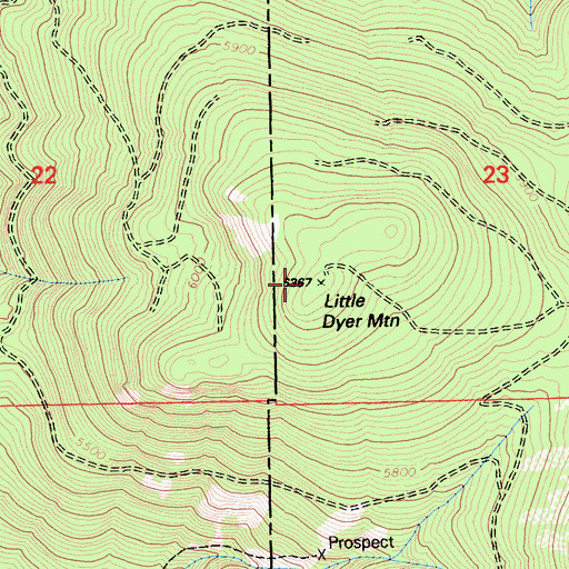 Topographic Map of Little Dyer Mountain, CA