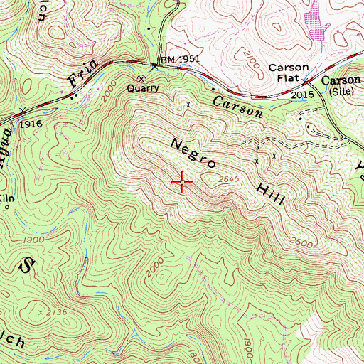 Topographic Map of Negro Hill, CA