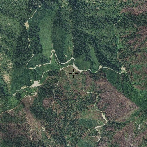 Aerial/Satellite Image of Offield Saddle, CA