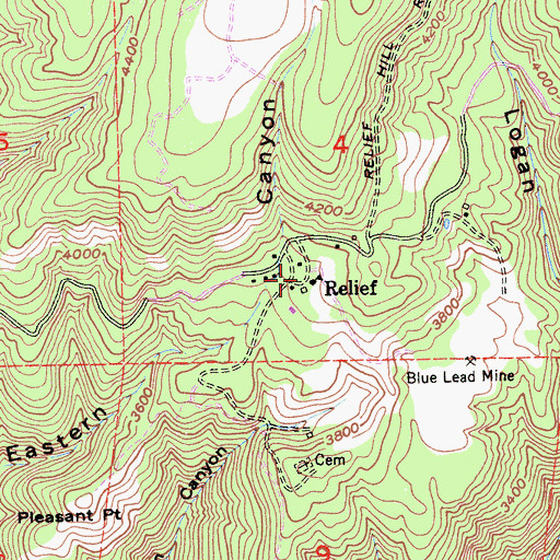 Topographic Map of Relief, CA