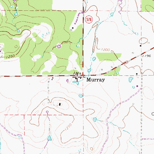 Topographic Map of Young County Rural Volunteer Fire Department Station 3, TX