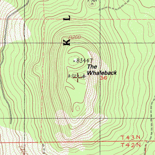 Topographic Map of The Whaleback, CA