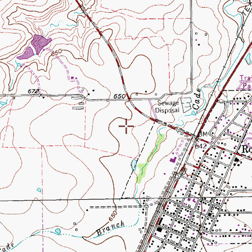 Topographic Map of Roanoke Fire Department, TX