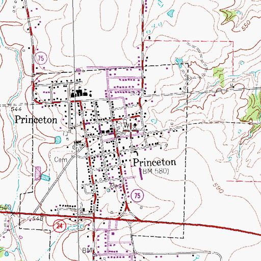 Topographic Map of Princeton Fire Department, TX