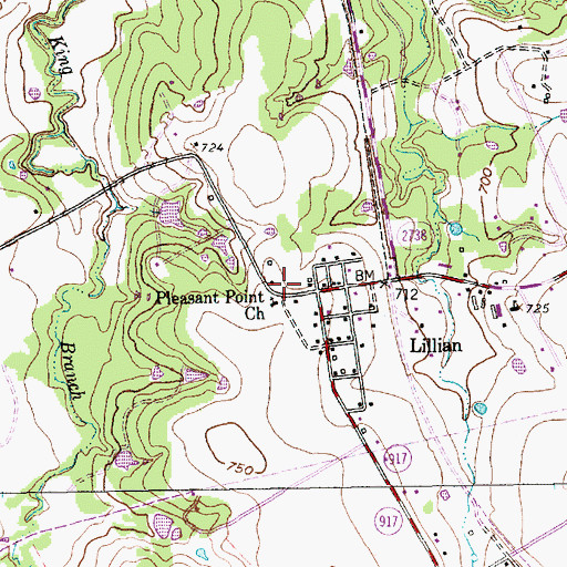 Topographic Map of Lillian Volunteer Fire Department, TX