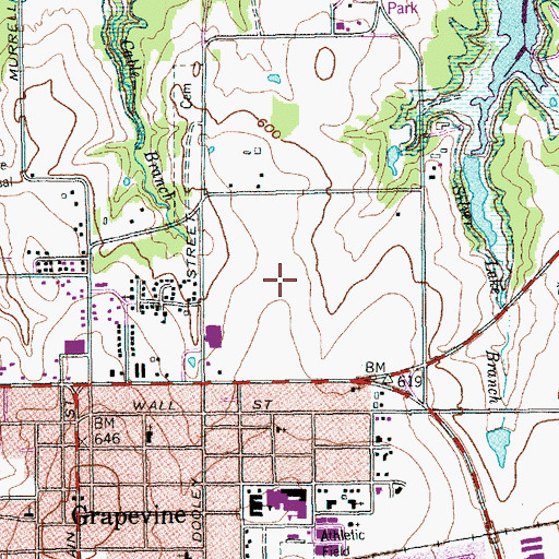 Topographic Map of Grapevine Fire Department Station 1, TX