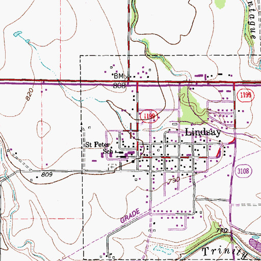 Topographic Map of Lindsay Volunteer Fire Department, TX