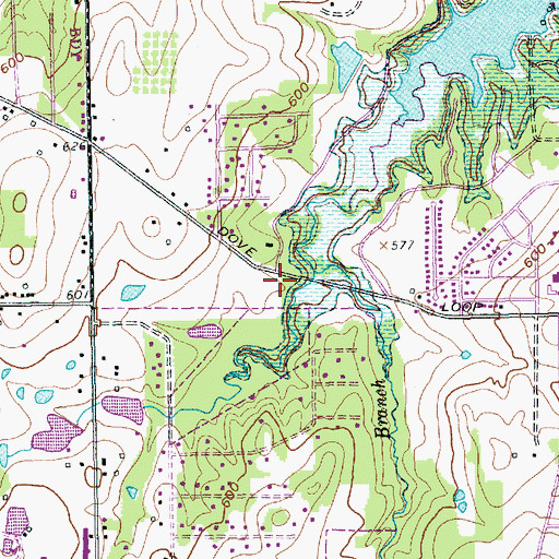 Topographic Map of Grapevine Fire Department Station 2, TX