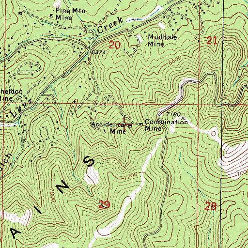 Topographic Map of Accidental Mine, AZ
