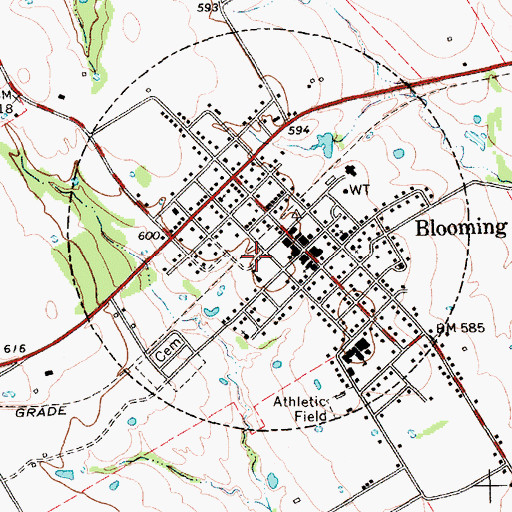 Topographic Map of Blooming Grove Volunteer Fire Department, TX