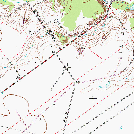 Topographic Map of Raisin Volunteer Fire Department Station 4, TX