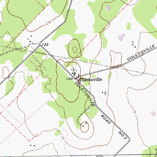 Topographic Map of Raisin Volunteer Fire Department Station 5, TX