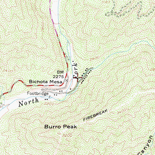Topographic Map of Bichota Canyon, CA