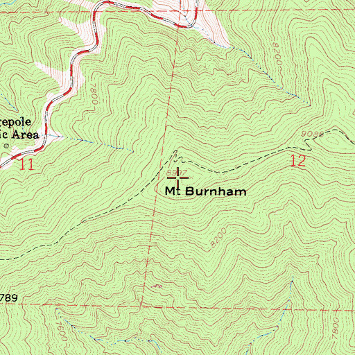 Topographic Map of Mount Burnham, CA