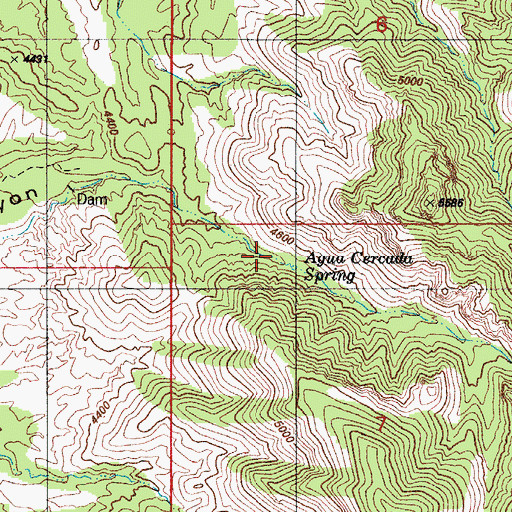 Topographic Map of Agua Cereado Spring, AZ