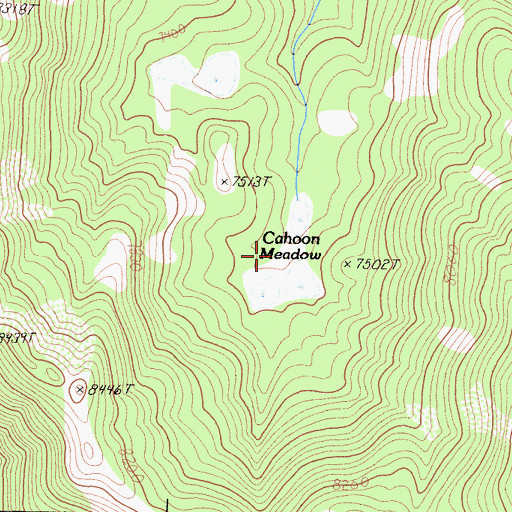 Topographic Map of Cahoon Meadow, CA