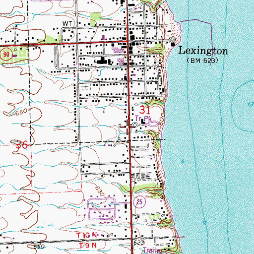 Topographic Map of Lexington Clinic, MI