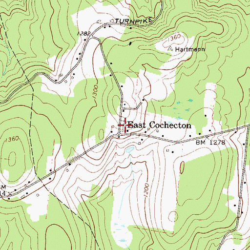 Topographic Map of East Cochecton Cemetery, NY
