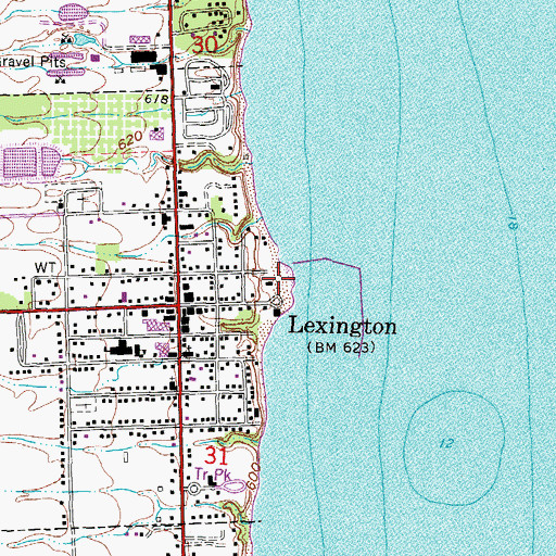 Topographic Map of Tierney Park, MI