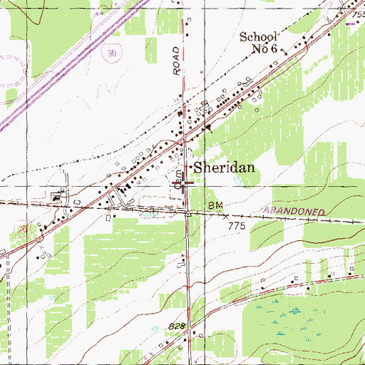 Topographic Map of Sheridan Pioneer Cemetery, NY
